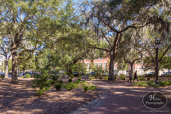 Savannah Day 3