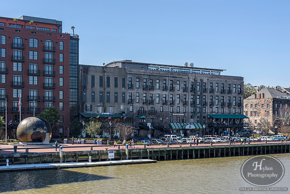 Savannah