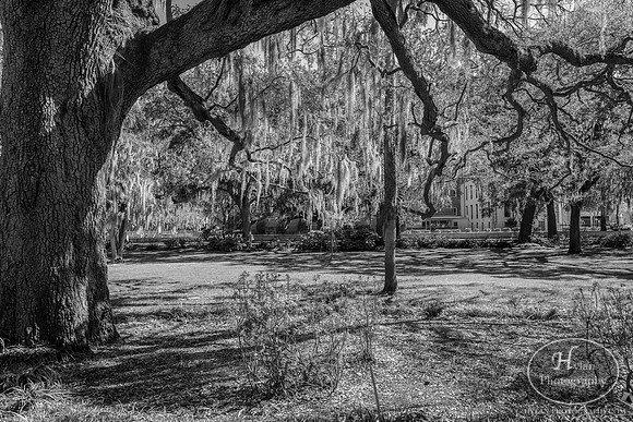 Savannah Day 3