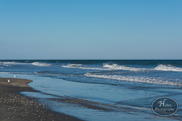 Myrtle Beach