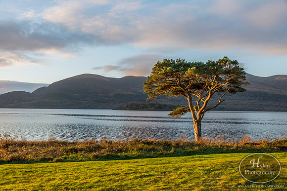Hylan-Ireland-Killarney-1.jpg