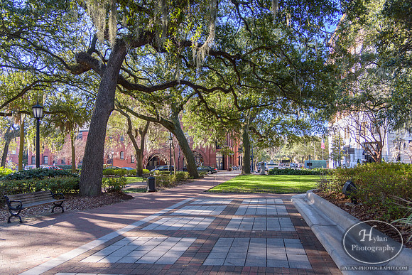 Savannah Day 3