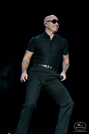 Pitbull