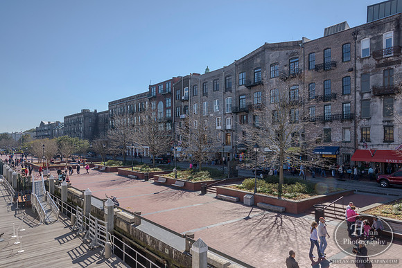 Savannah