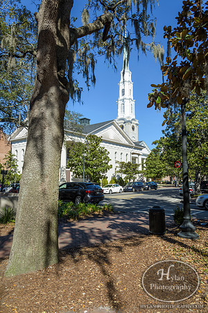 Savannah Day 3
