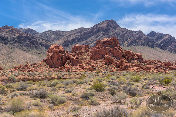 Valley-Of-Fire-11.jpg