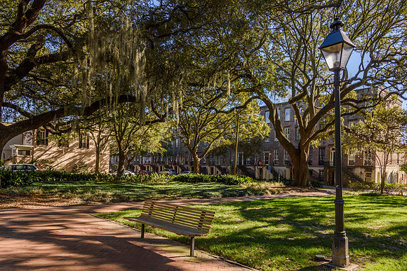 Savannah