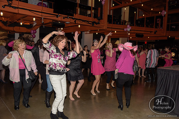 LittlePinkDressParty2016-HylanPhotography-MusikfestCafe-WLEV-213812.jpg