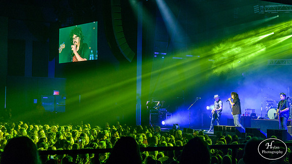 Counting Crows
