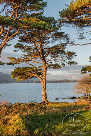 Hylan-Ireland-Killarney-10.jpg