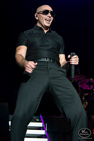Pitbull