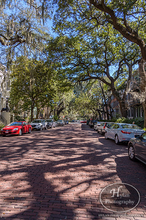 Savannah Day 3