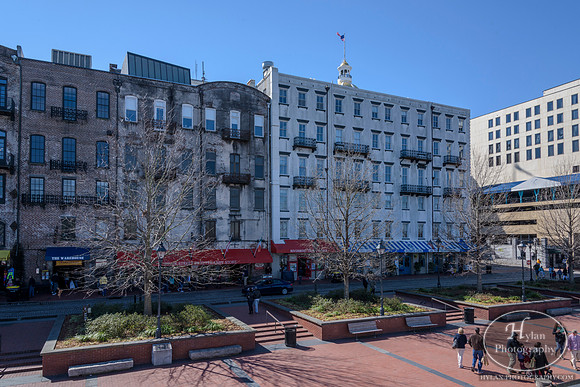 Savannah