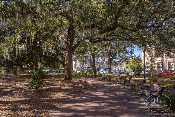 Savannah Day 3