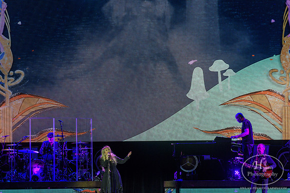 StevieNicks-HylanPhotography-SandsEventCenter-WLEV-01-3.jpg