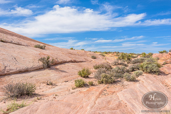 Valley-Of-Fire-58.jpg