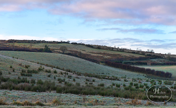 Hylan-Northern-Ireland-7.jpg