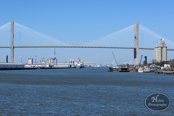 Savannah