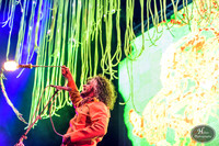 The Flaming Lips