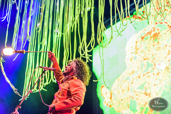The Flaming Lips