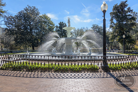 Savannah Day 3