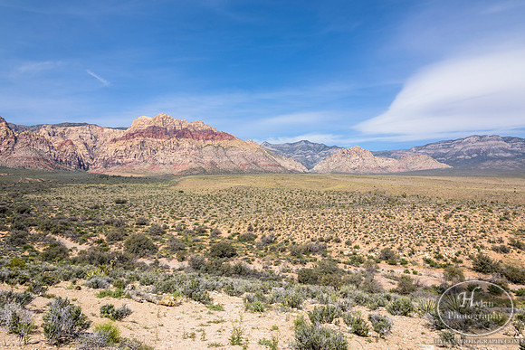 Red-Rock-Hylan-3.jpg