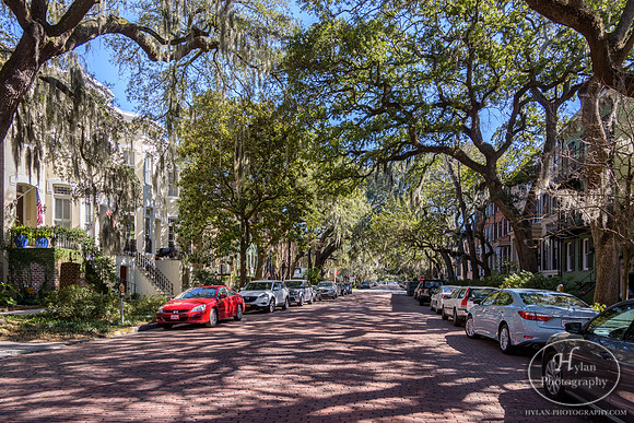 Savannah Day 3