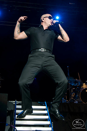 Pitbull