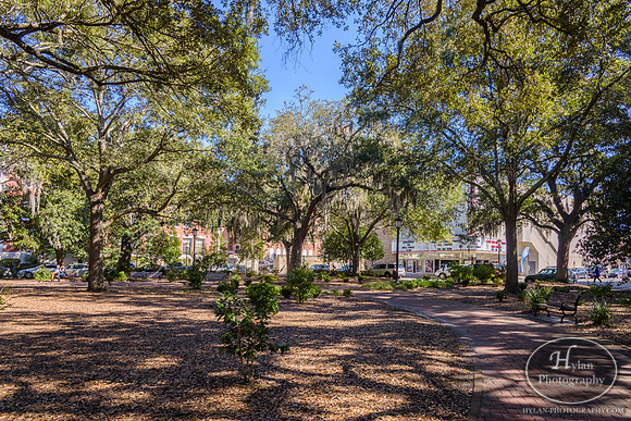 Savannah Day 3