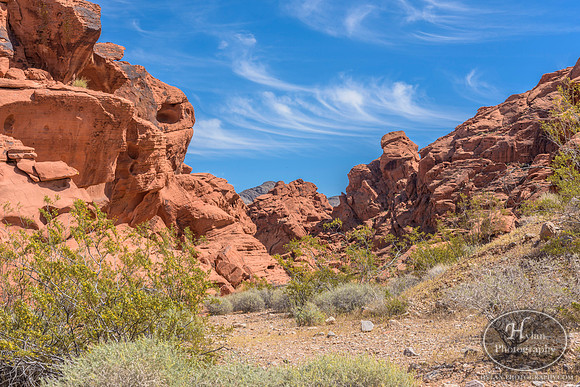 Valley-Of-Fire-28.jpg