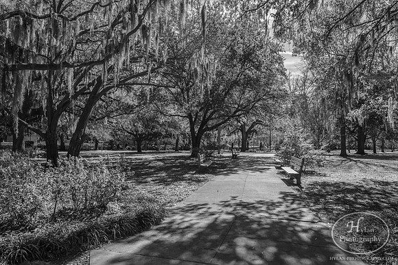 Savannah Day 3