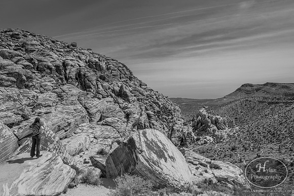 Red-Rock-Hylan-39.jpg