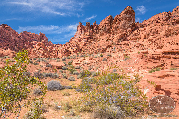 Valley-Of-Fire-33.jpg