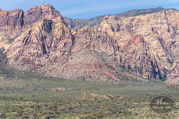Red-Rock-Hylan-6.jpg