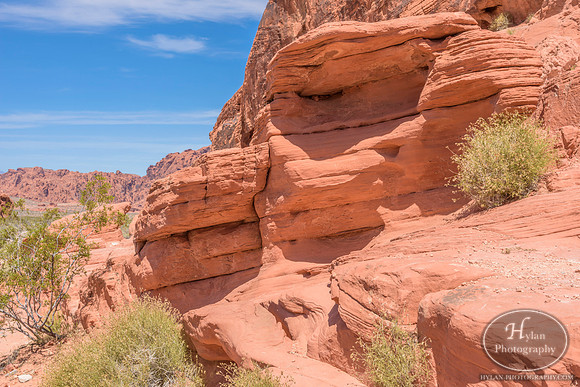 Valley-Of-Fire-20.jpg