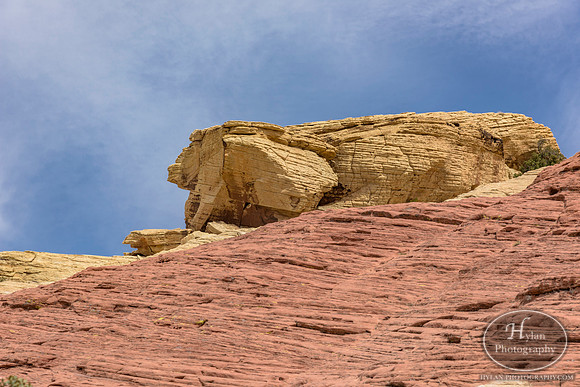 Red-Rock-Hylan-41.jpg