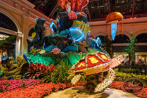 LasVegas-HylanPhotography-September2015-231246.jpg