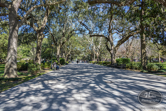 Savannah Day 3