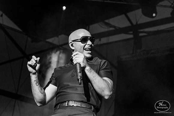 Pitbull
