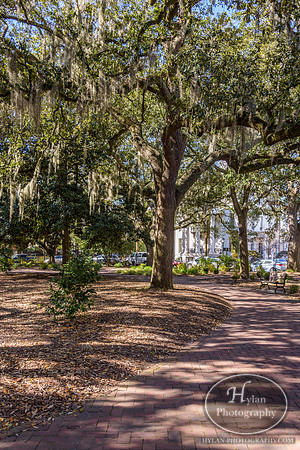 Savannah Day 3