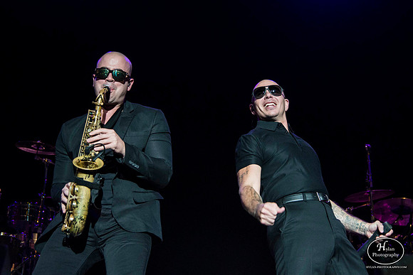 Pitbull