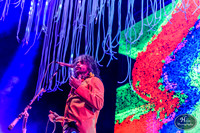 The Flaming Lips