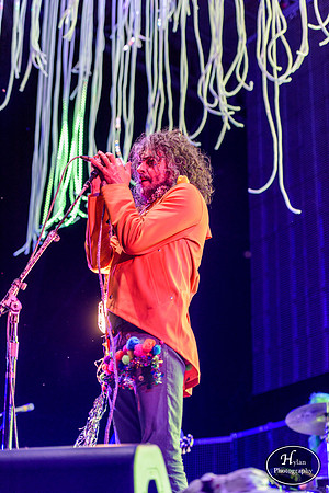 The Flaming Lips