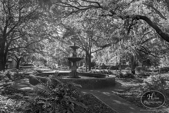 Savannah Day 3