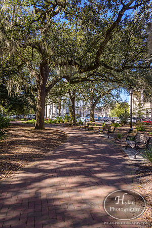 Savannah Day 3