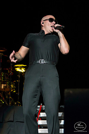 Pitbull