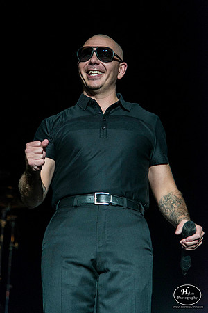 Pitbull