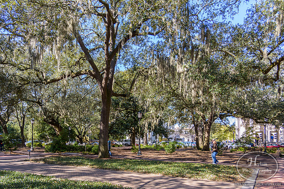 Savannah Day 3