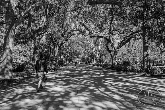 Savannah Day 3